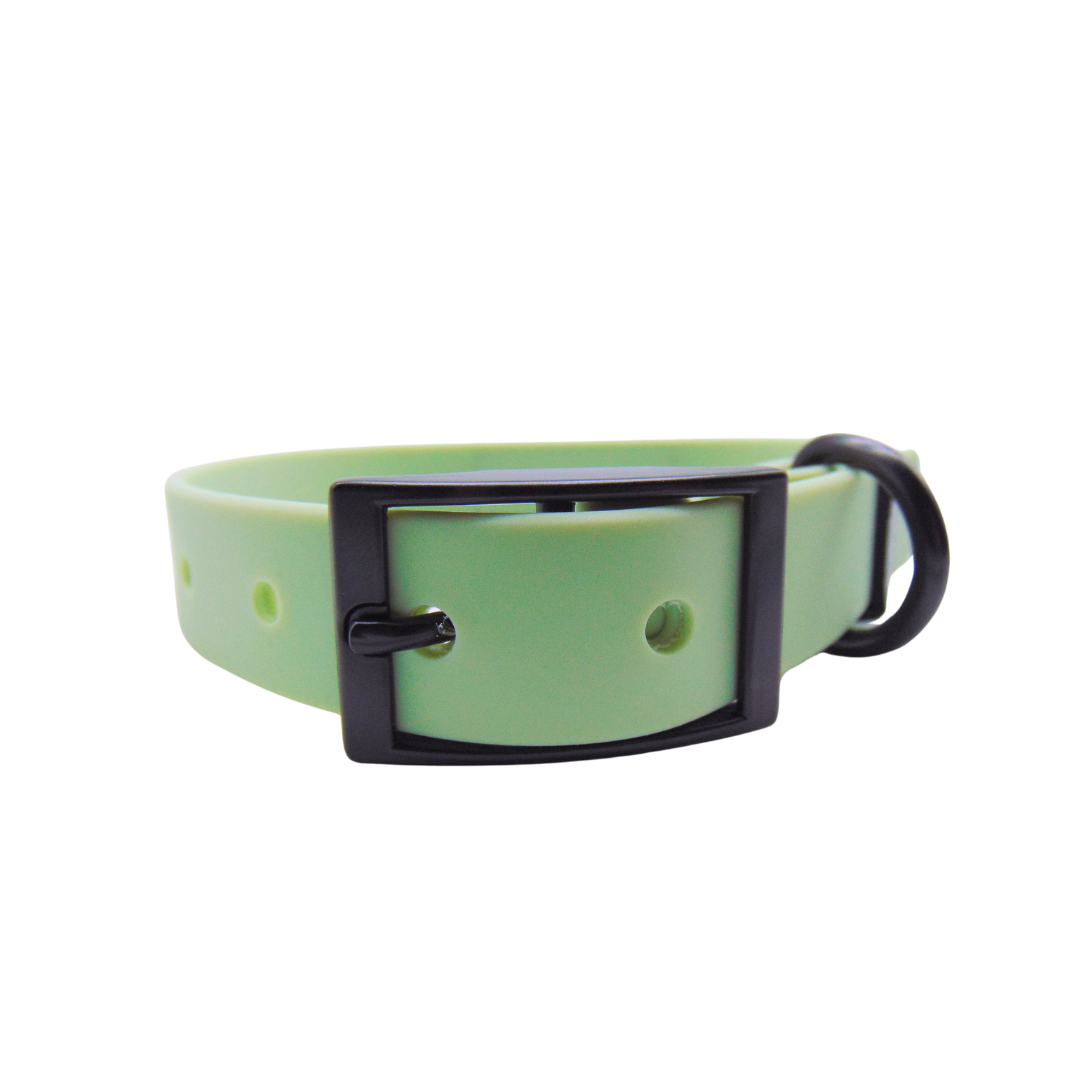 Schmuddelschnute - Hundehalsband "Schietwedda" Mint