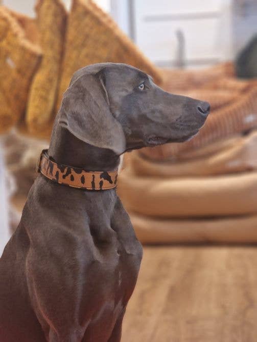 Kay-Line - Leder Halsband AFRICAN CHEETAH. mit Leder PomPom