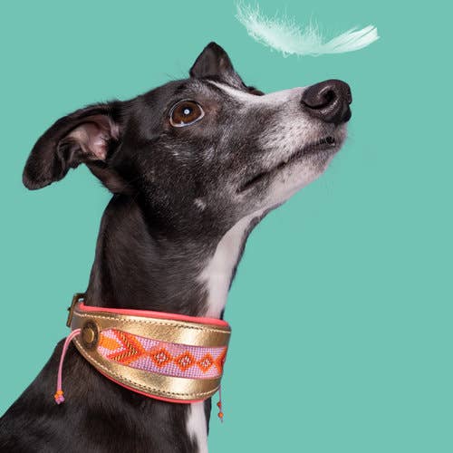 Dog with a Mission - Windhundhalsband Sweet Mae