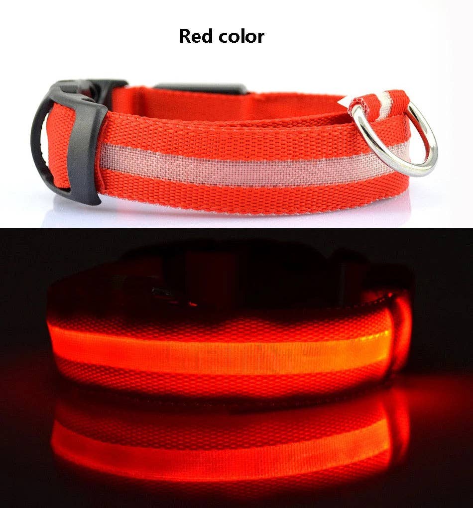 Puppies & Pom Poms - Hundehalsband mit LED-Licht, Rot