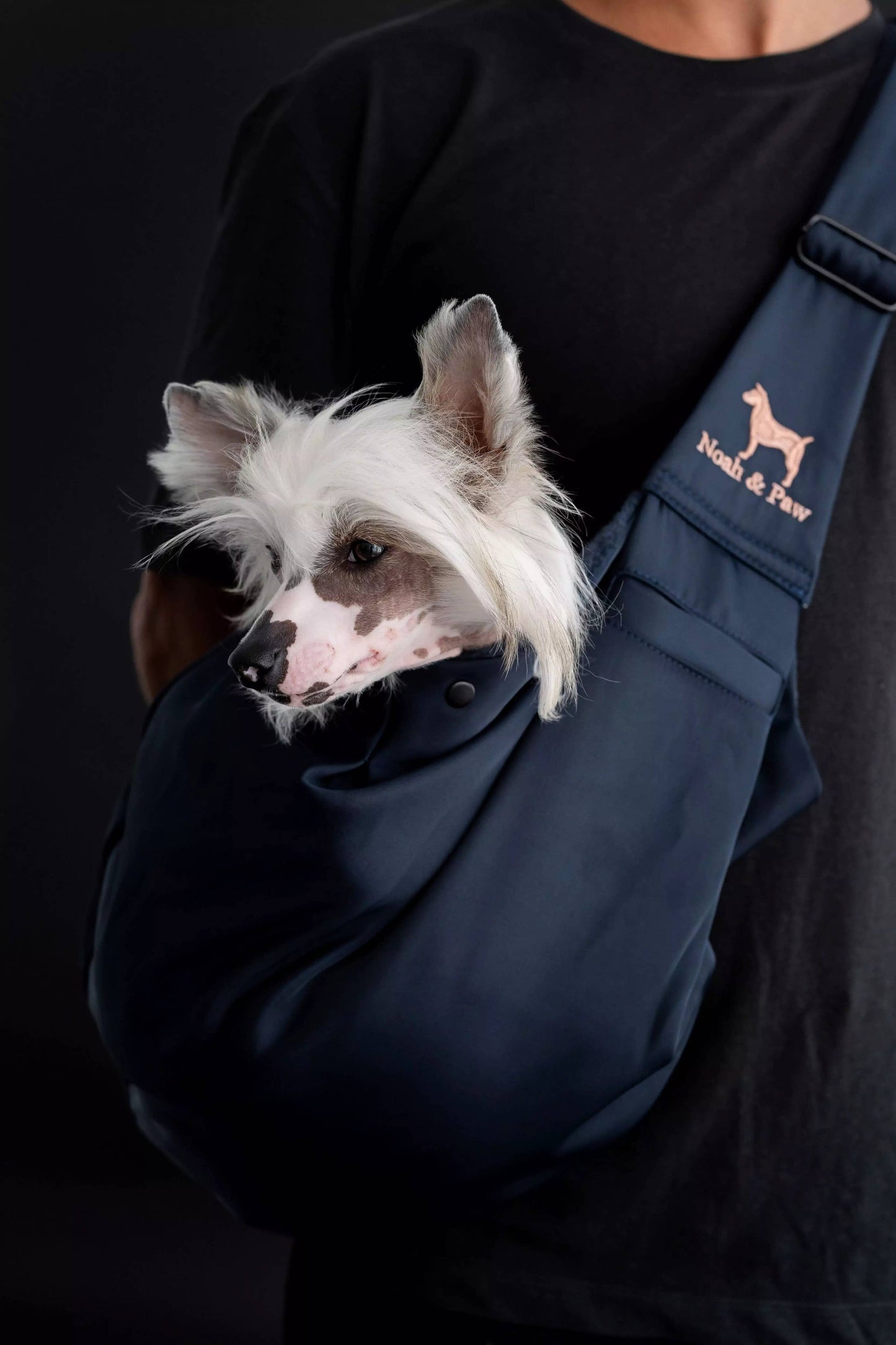 Noah & Paw - Premium-Twill-Haustiertragetasche, Schnappverschluss, Schwarz