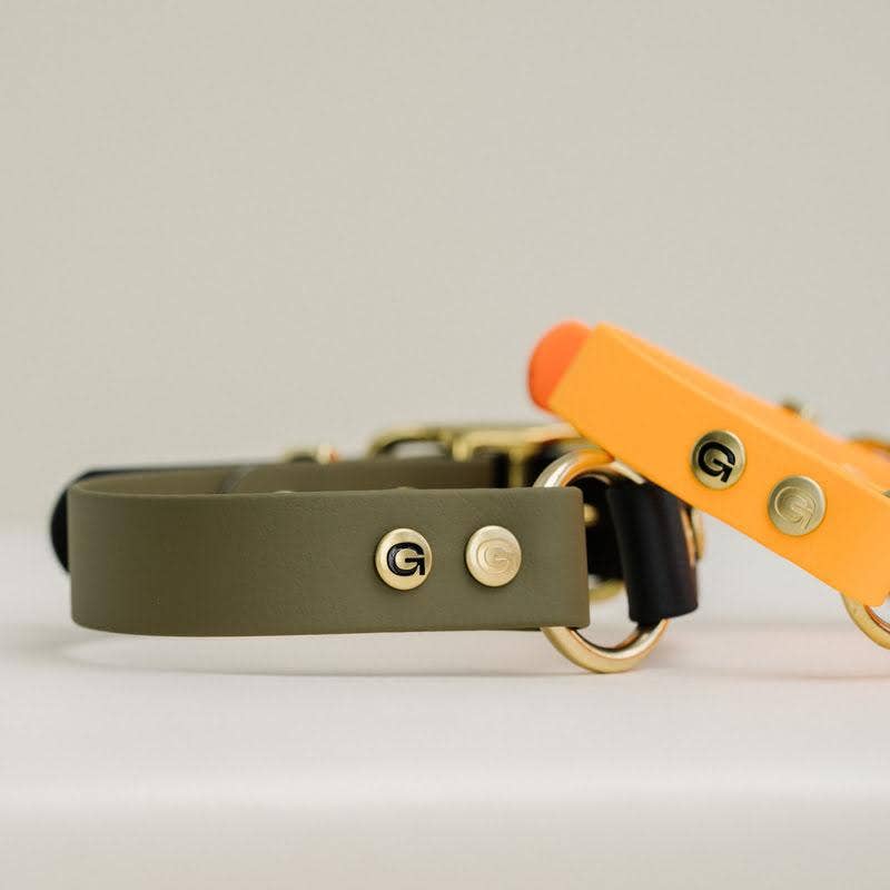 GULA - Klassisches Hundehalsband, leuchtend orange und schwarz (25 mm breit)