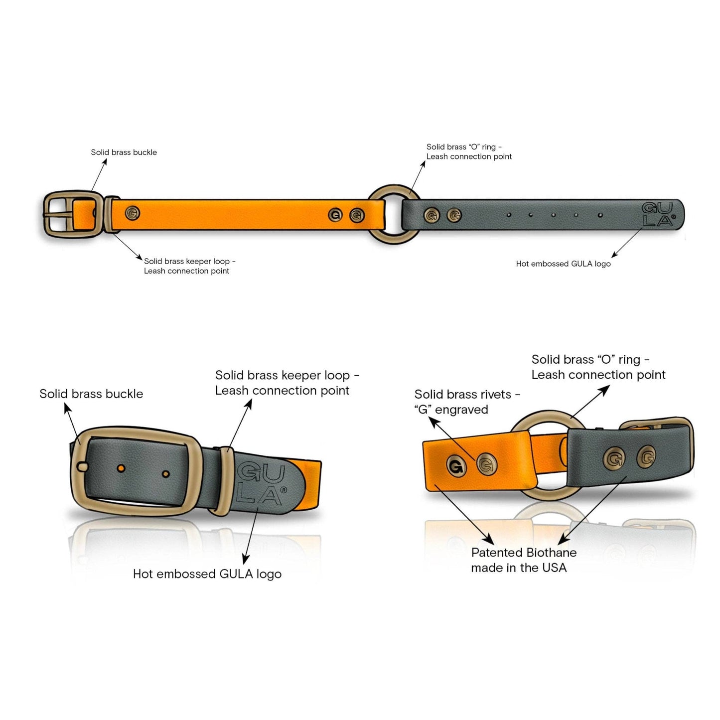GULA - Klassisches Hundehalsband, leuchtend orange und schwarz (25 mm breit)