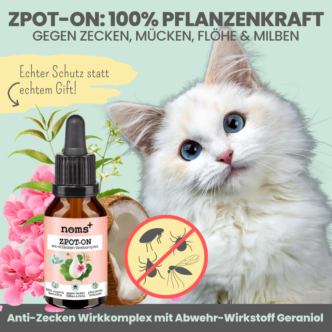 Noms+ - Zpot-on für Katzen