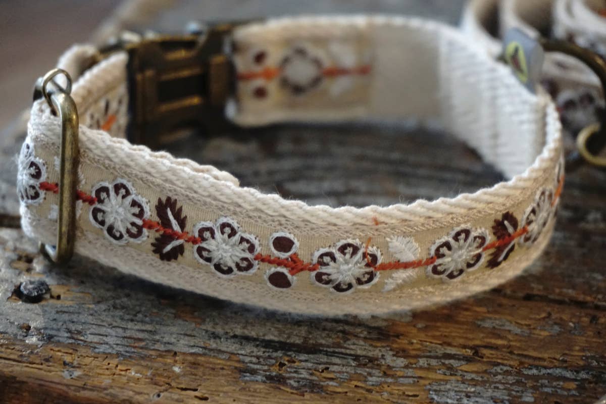 Hundsfutter - Elegantes Halsband- und Leinen-Set "John"