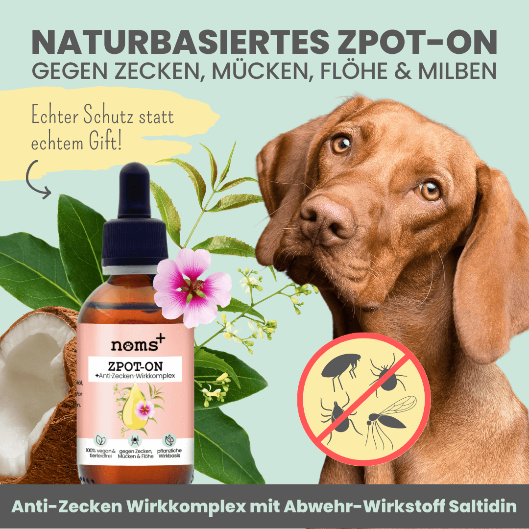 Noms+ - Zpot-on für Hunde gegen Zecken, Flöhe, Milben & Mücken