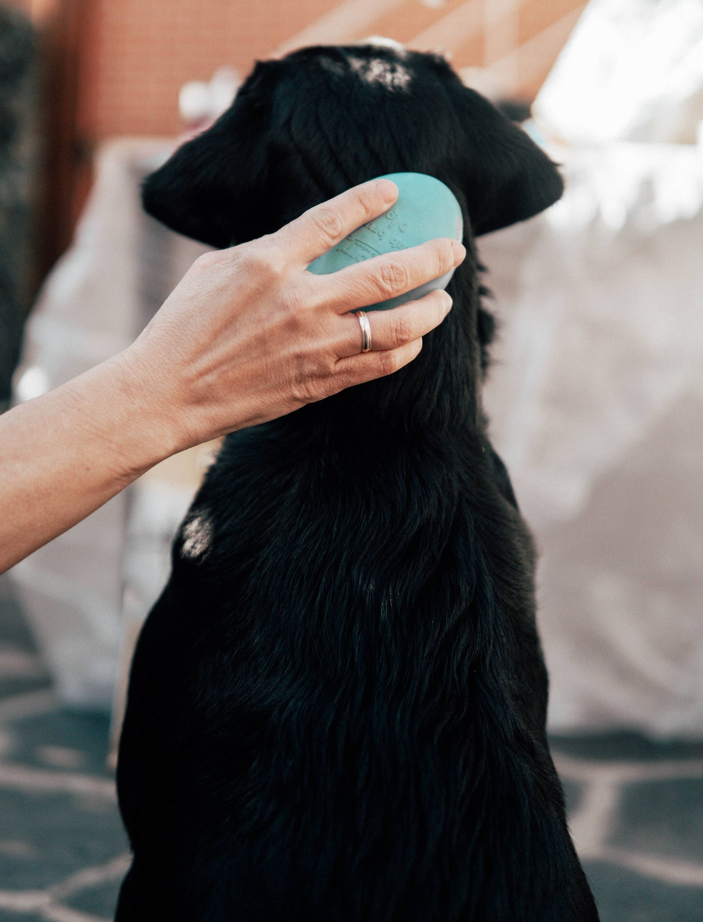 Brush De Retorn Hundebürste