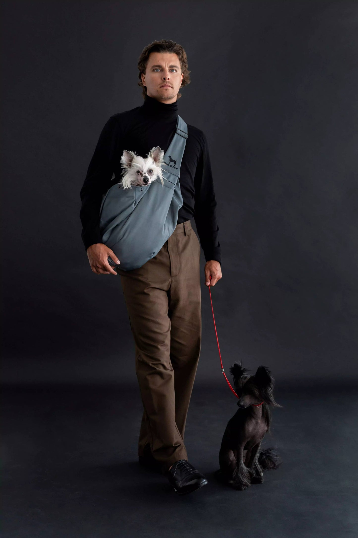 Noah & Paw - Premium-Twill-Haustiertragetasche, Schnappverschluss, Schwarz