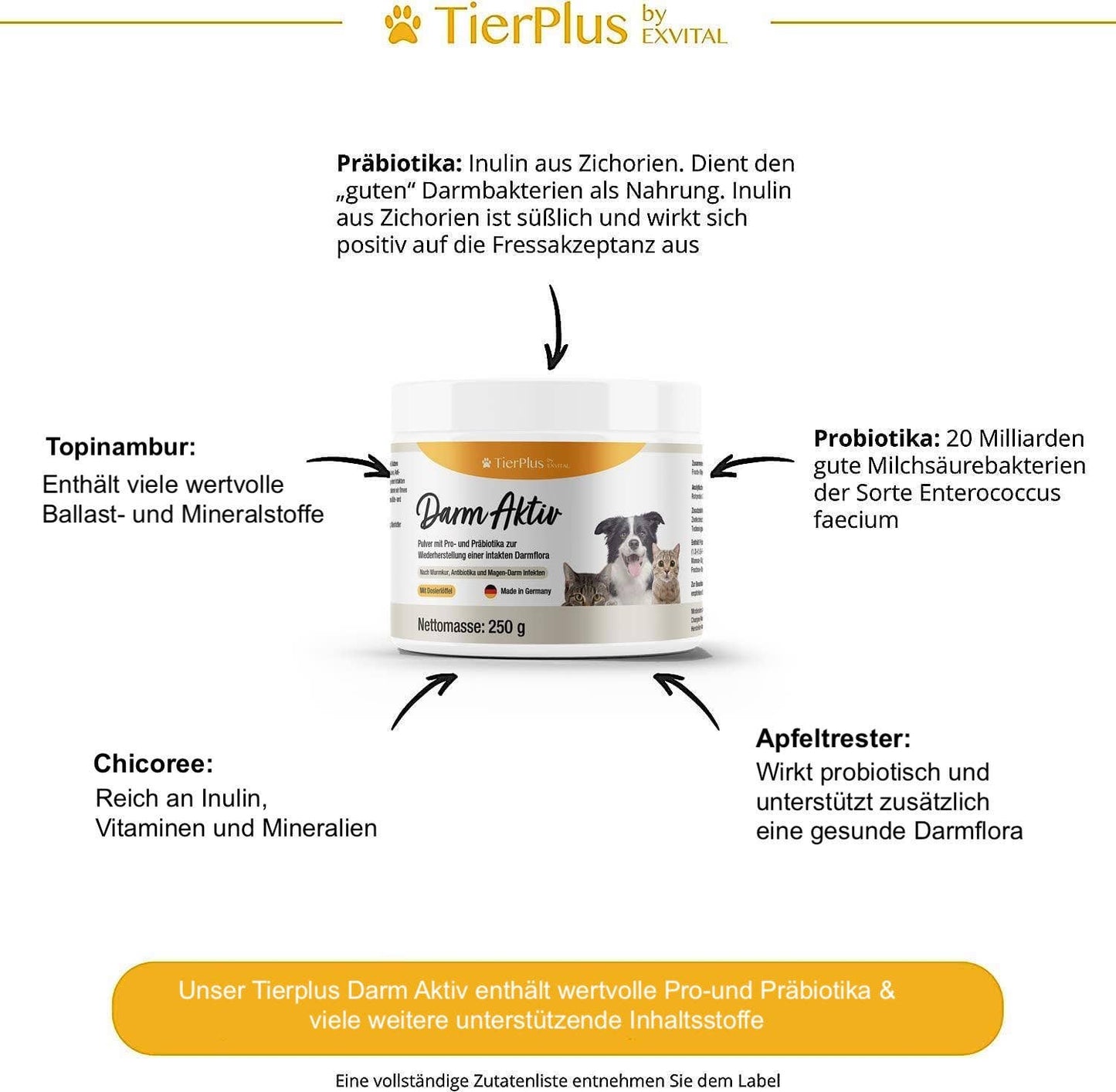 EXVital - TierPlus - Darm Aktiv Pulver