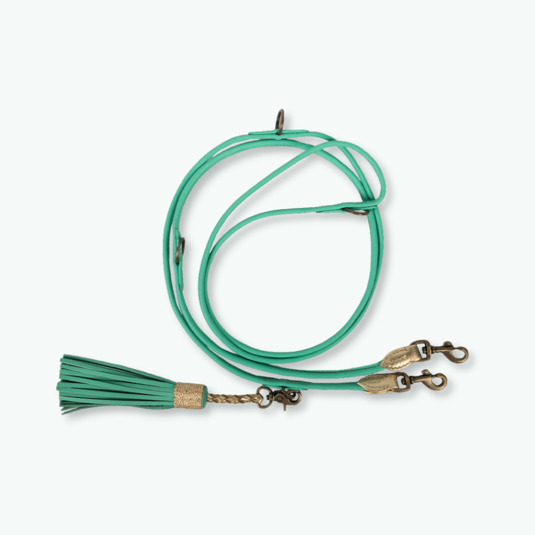 Dog with a Mission - Extra Lange Turquoise Hundeleine XXS