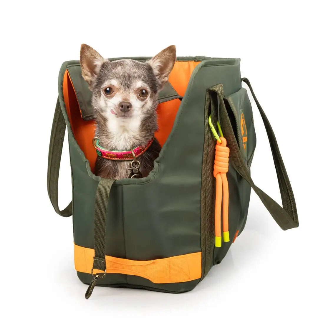 Dog with a Mission - Travel Buddy Hundetasche