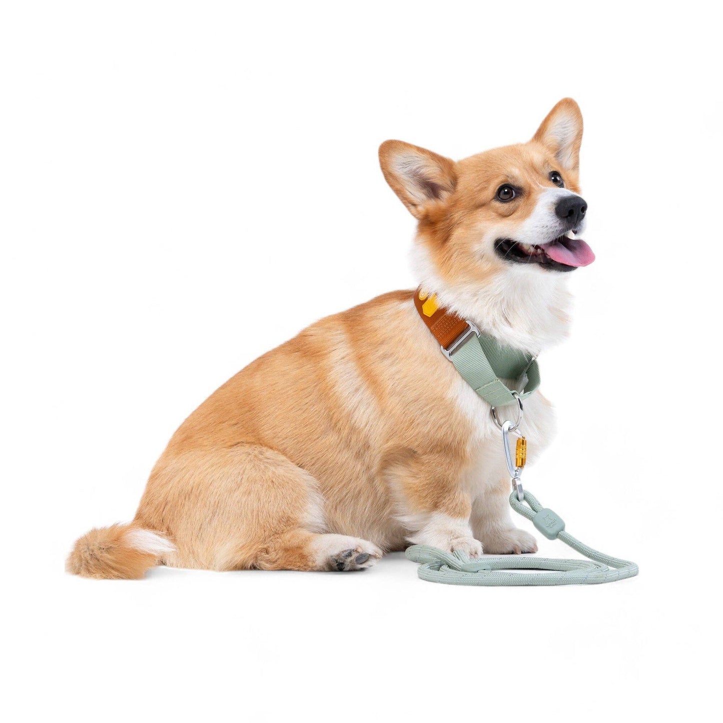 Woolly Wolf - Block Martingale Halsband Terrakotta Mix