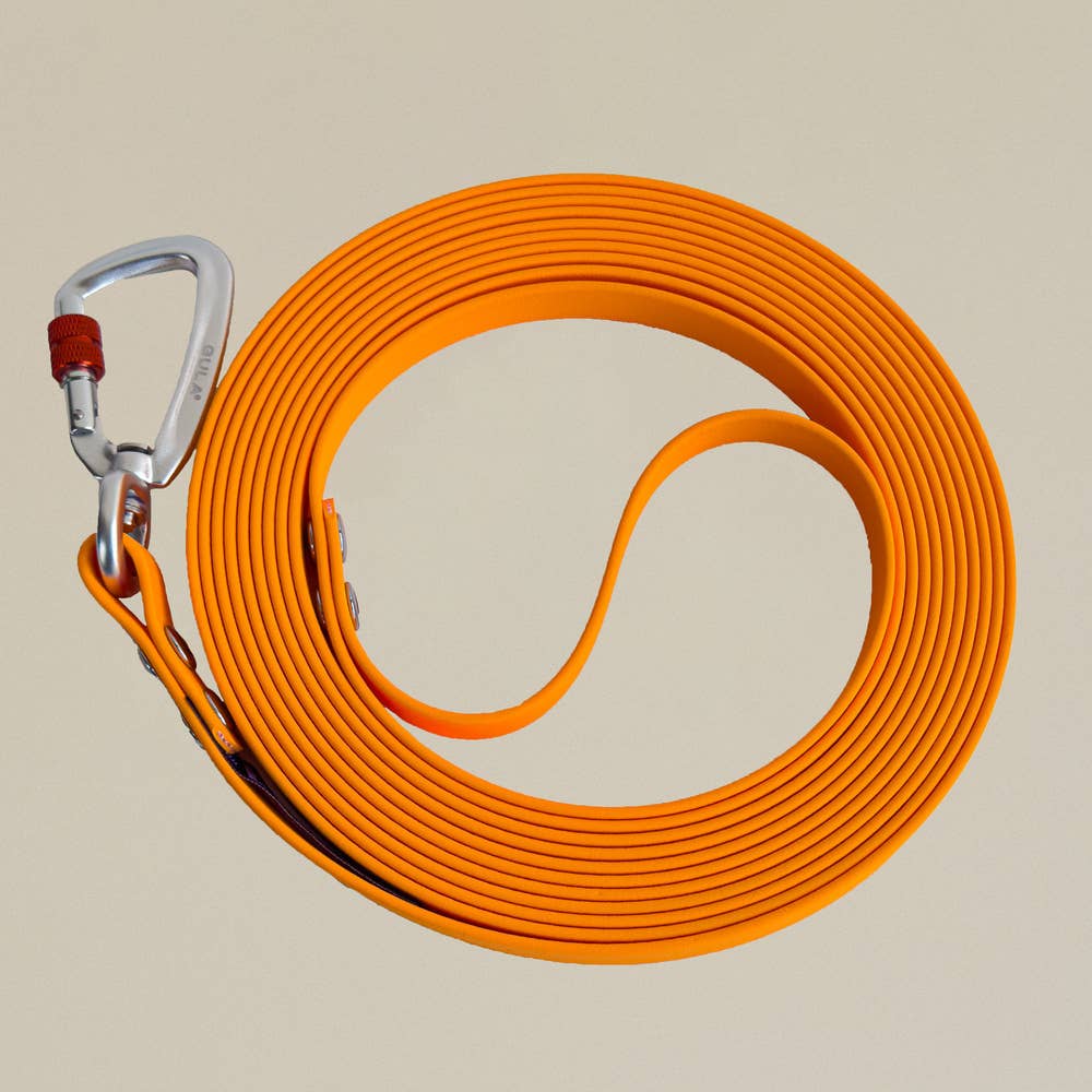 GULA - Biothane Trainingsleine - 10 Meter