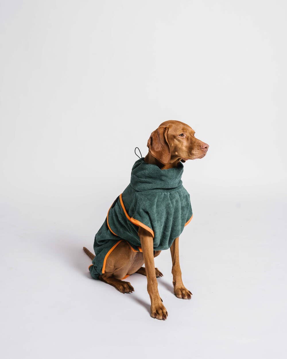 Gula - Hundebademantel / Hundetrockentuch - Grün & Orange