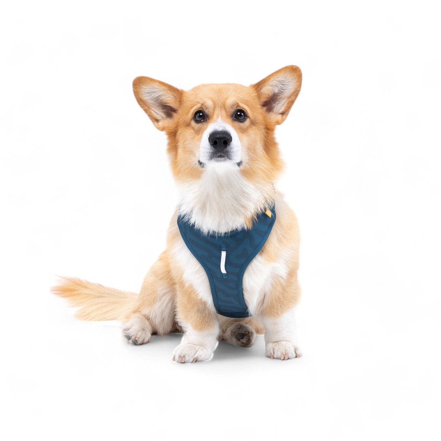 Roam Harness Deep Teal Ripple