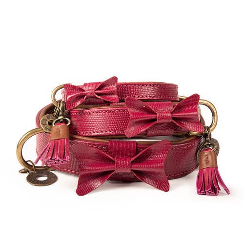 Dog with a Mission - Halsband City BONNIE
