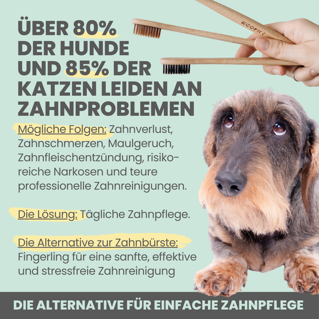 Noms+ - Silberling - Antibakterieller Zahnpflege-Fingerling für Hunde