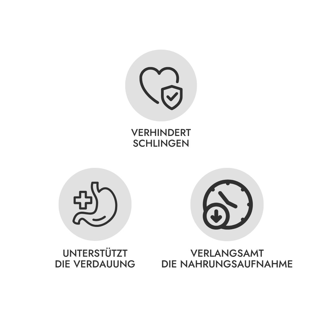 2-in-1 Anti Schling Napf & Schleckmatte ELEMENTS Nude