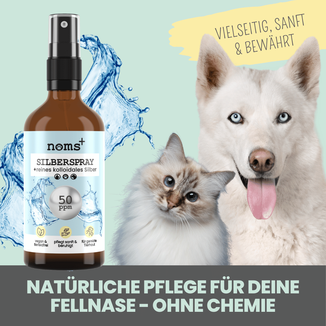 Noms+ - Silberspray für Hunde und Katzen mit 50ppm (100ml)