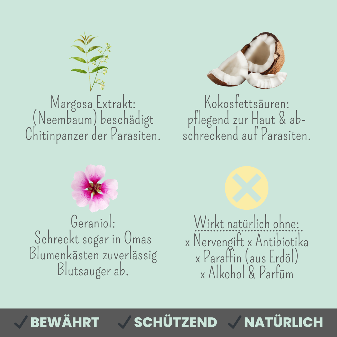 Noms+ - Zpot-on für Katzen