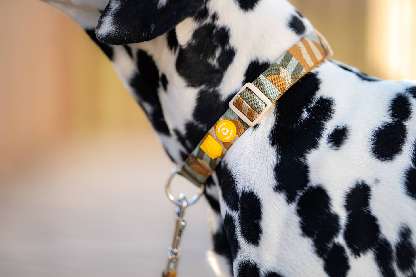 Woolly Wolf - Cloudbeam-Halsband