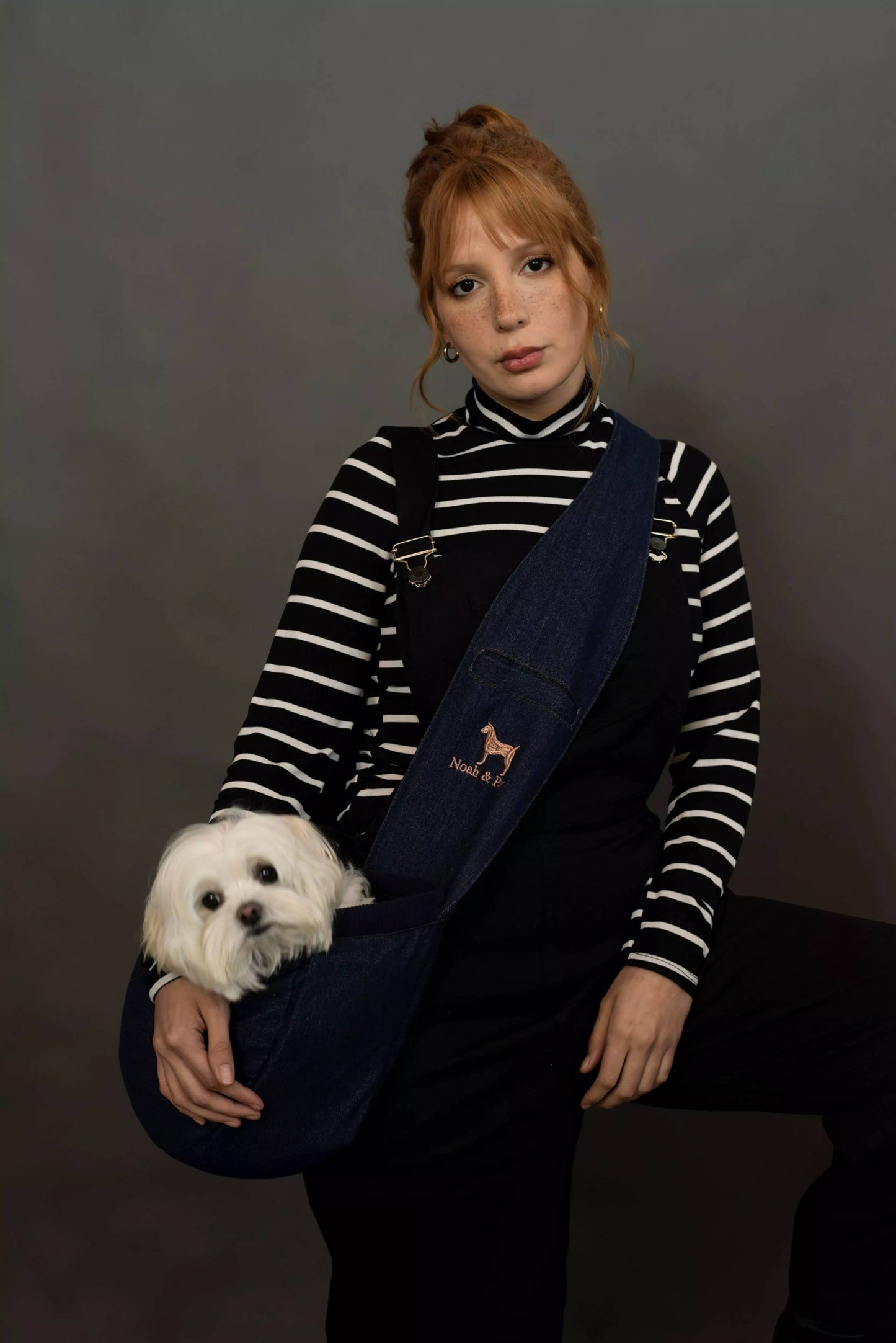 Noah & Paw - Premium Denim Haustier-Tragetasche mit 3-facher Sicherheit