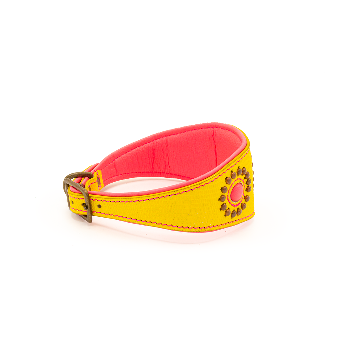 Dog with a Mission - Jessy Halsband Windhund