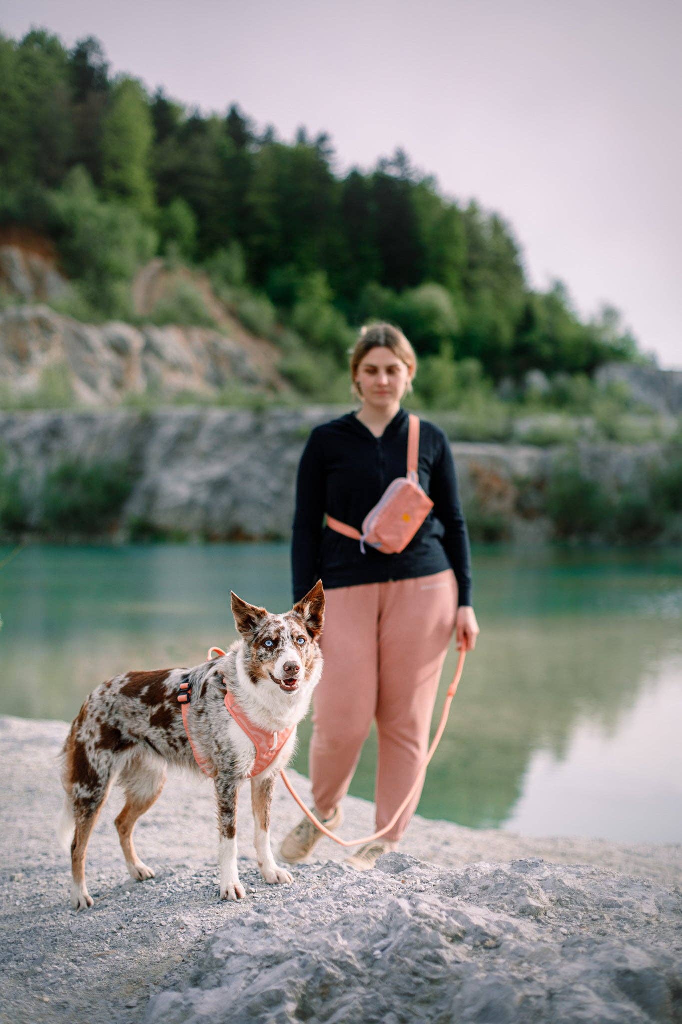 Woolly Wolf Roam Geschirr in Lachsrosa