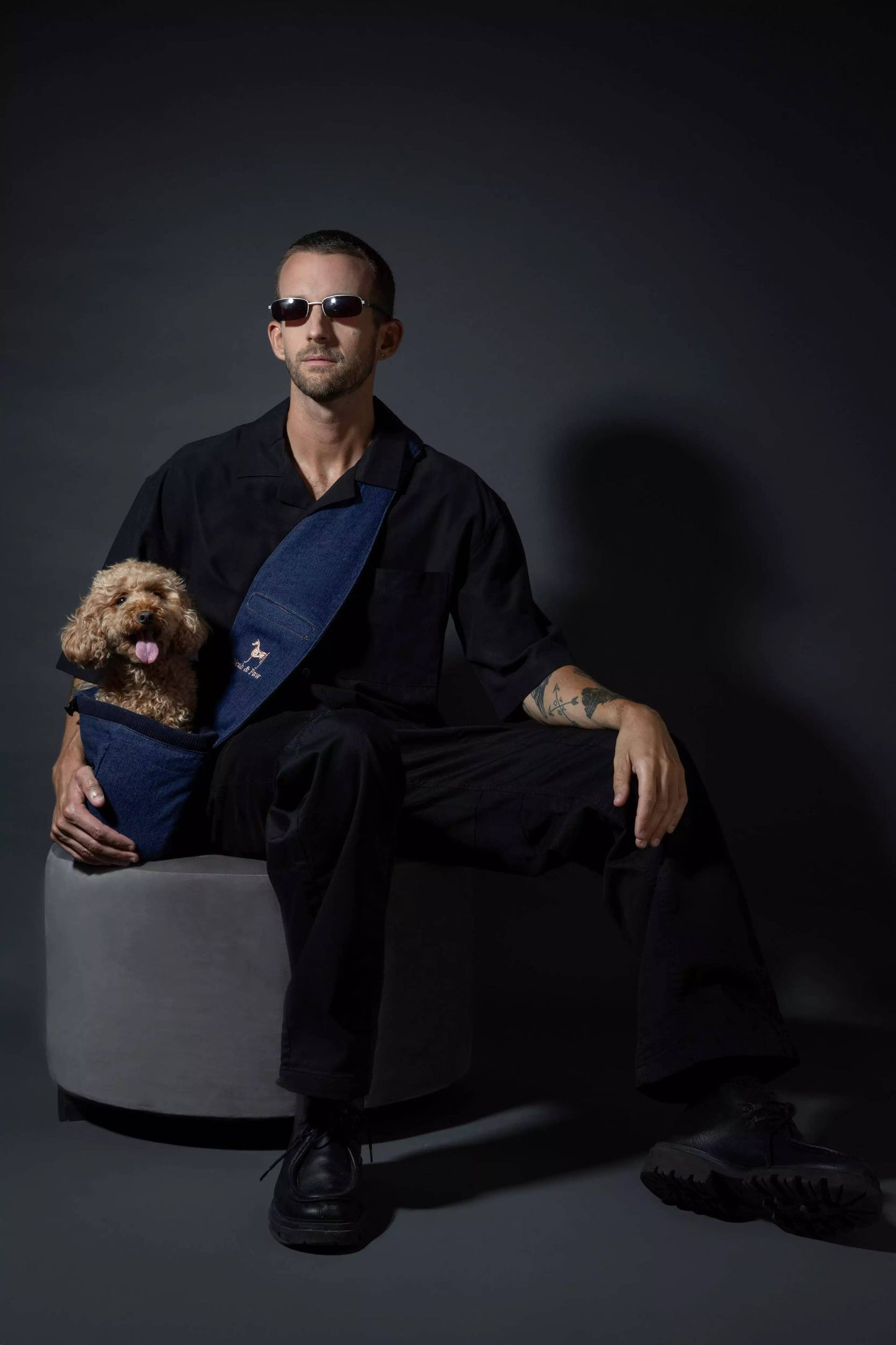 Noah & Paw - Premium Denim Haustier-Tragetasche mit 3-facher Sicherheit