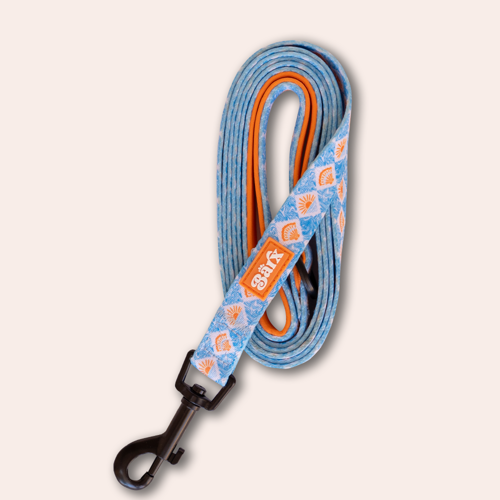 Barx - Leine | Hoffnungshafen