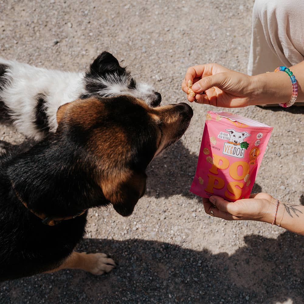 VEGDOG - POPS 20g