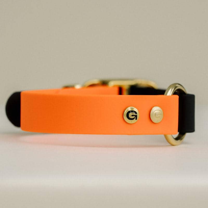 GULA - Klassisches Hundehalsband, leuchtend orange und schwarz (25 mm breit)