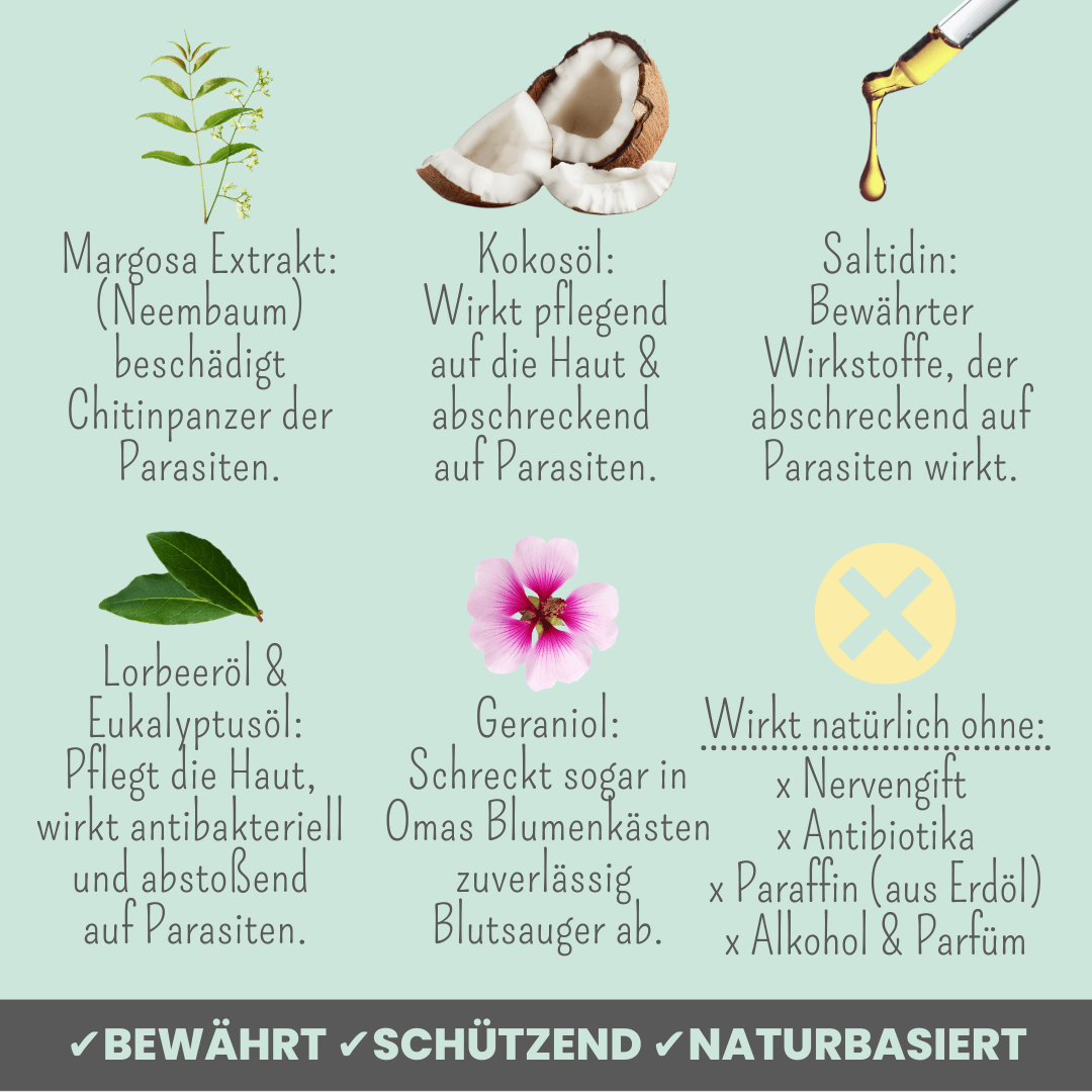Noms+ - Zpot-on für Hunde gegen Zecken, Flöhe, Milben & Mücken