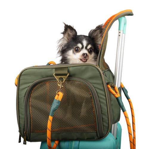 Dog with a Mission - Reisebegleiter Hundetasche