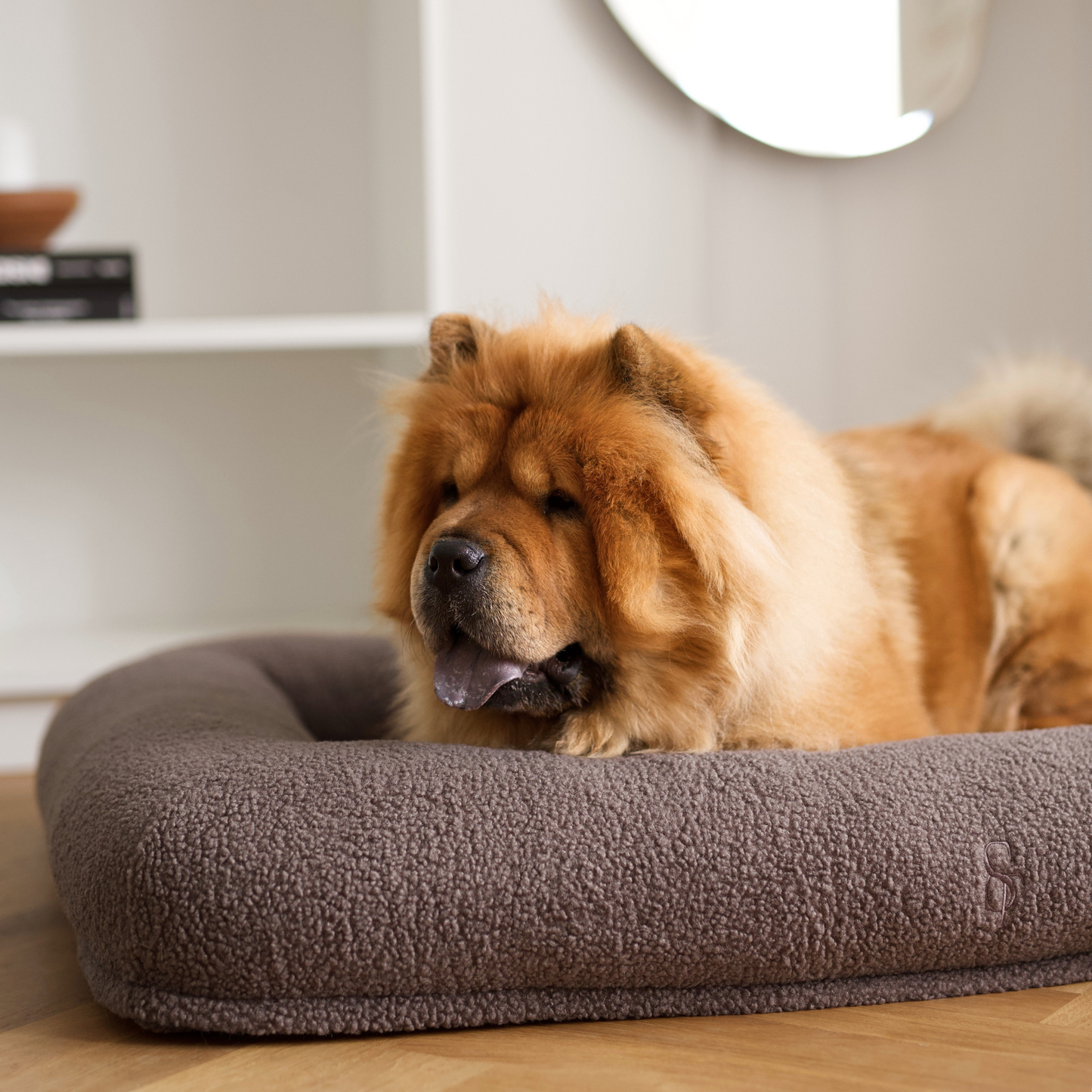 Staey - Clara Orthopädisches Hundebett | Limitierte Edition