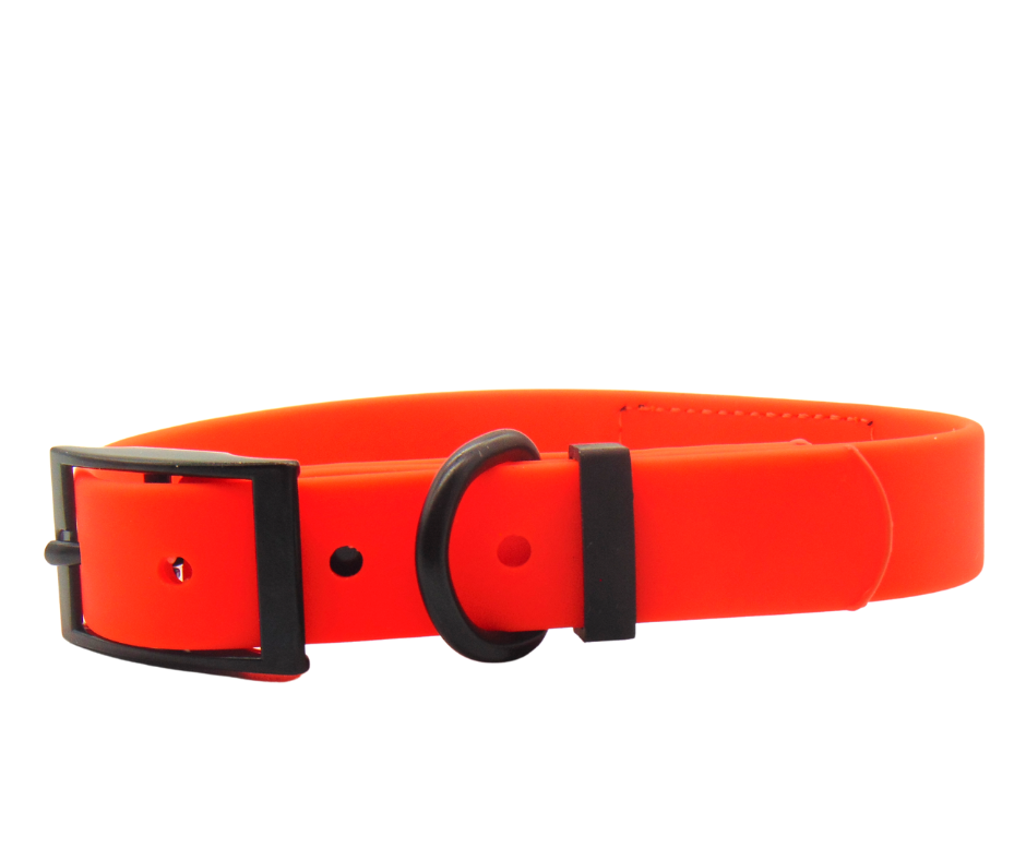 Schmuddelschnute - Hundehalsband "Schietwedda" Neon Orange