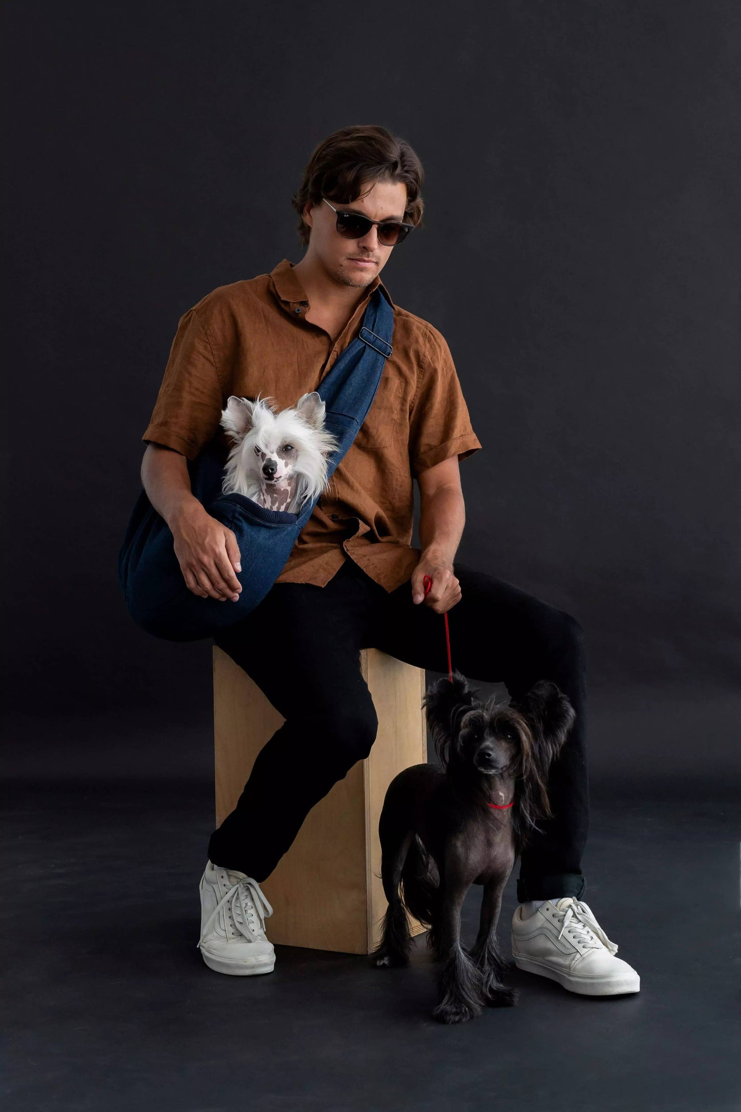 Noah & Paw - Premium Denim Haustier-Tragetasche mit 3-facher Sicherheit
