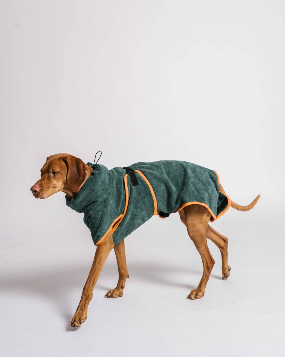 Gula - Hundebademantel / Hundetrockentuch - Grün & Orange