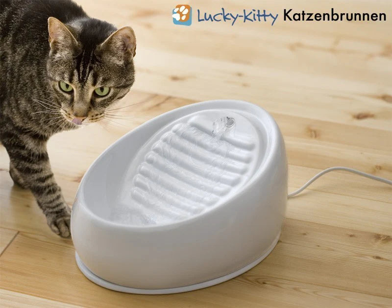 Lucky-Kitty - Katzenbrunnen aus Keramik - Pastellgrün