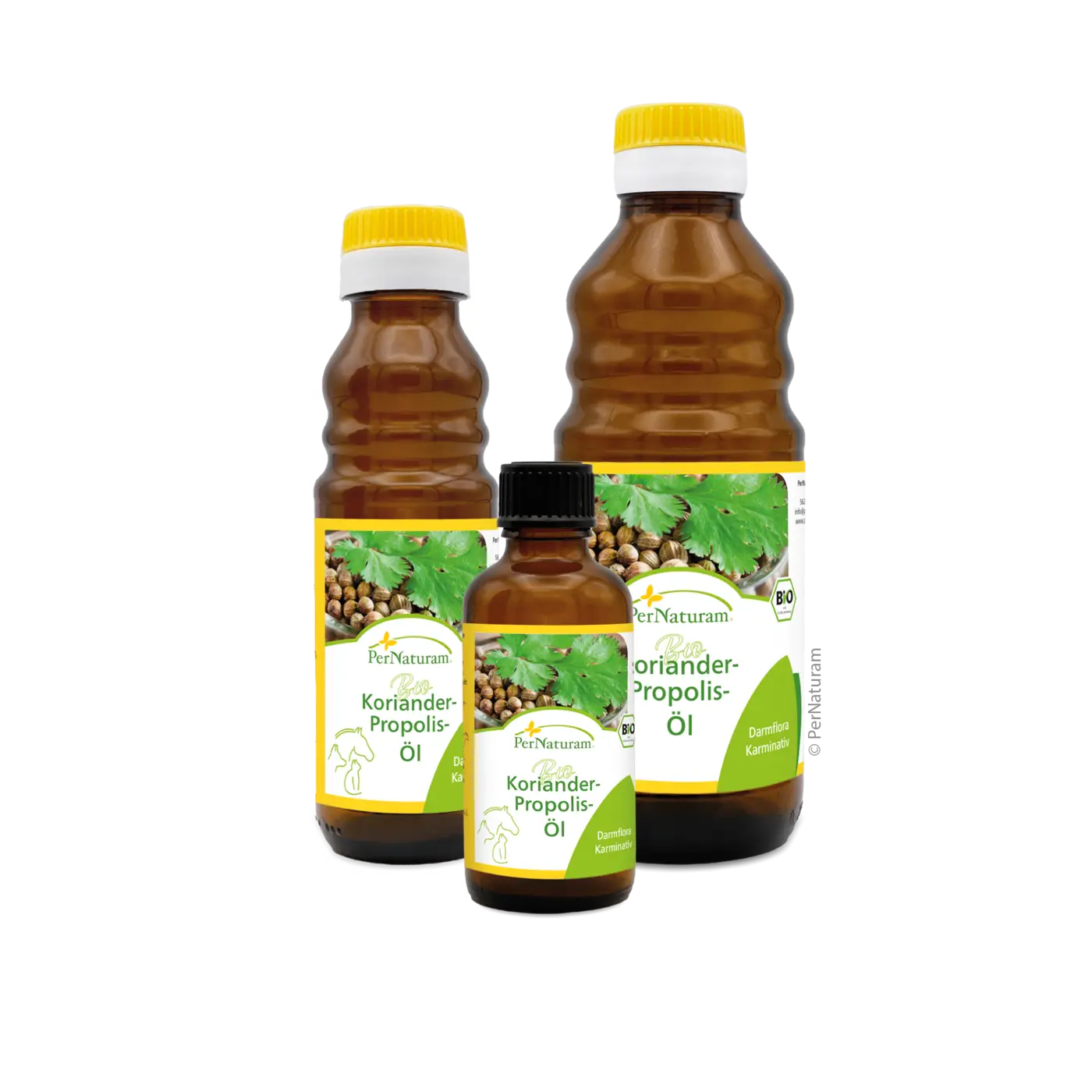 Per Naturam - Bio Koriander-Propolis-Öl - 100ml