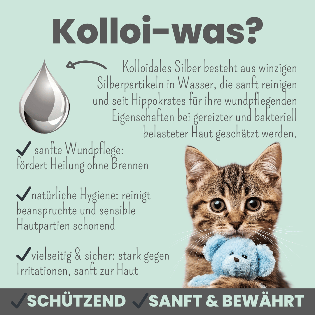 Noms+ - Silberspray für Hunde und Katzen mit 50ppm (100ml)