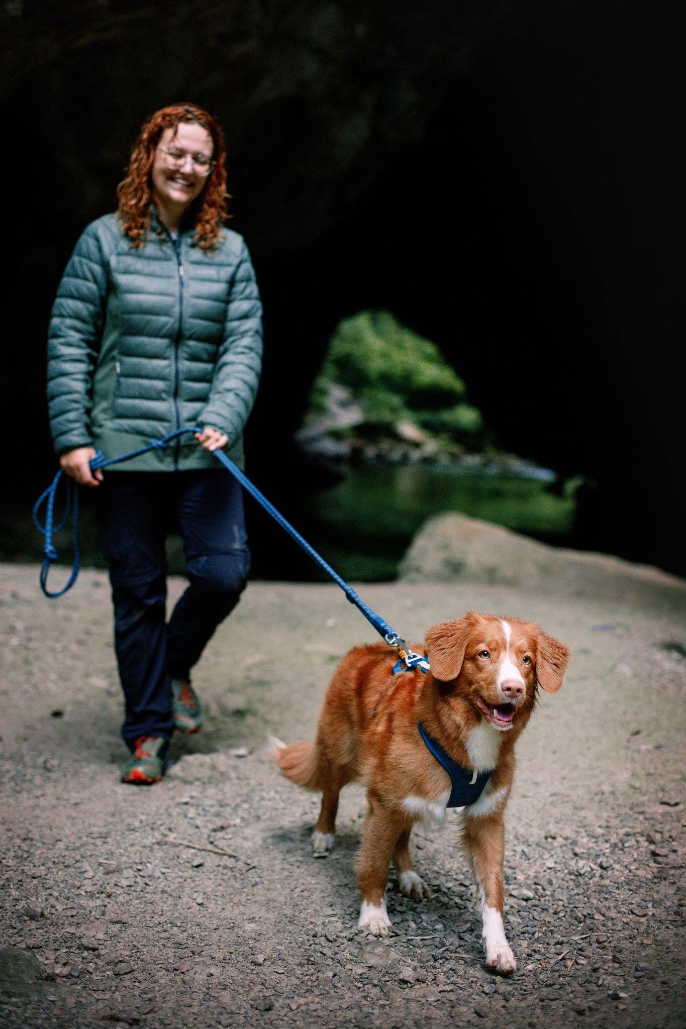 Roam Harness Deep Teal Ripple