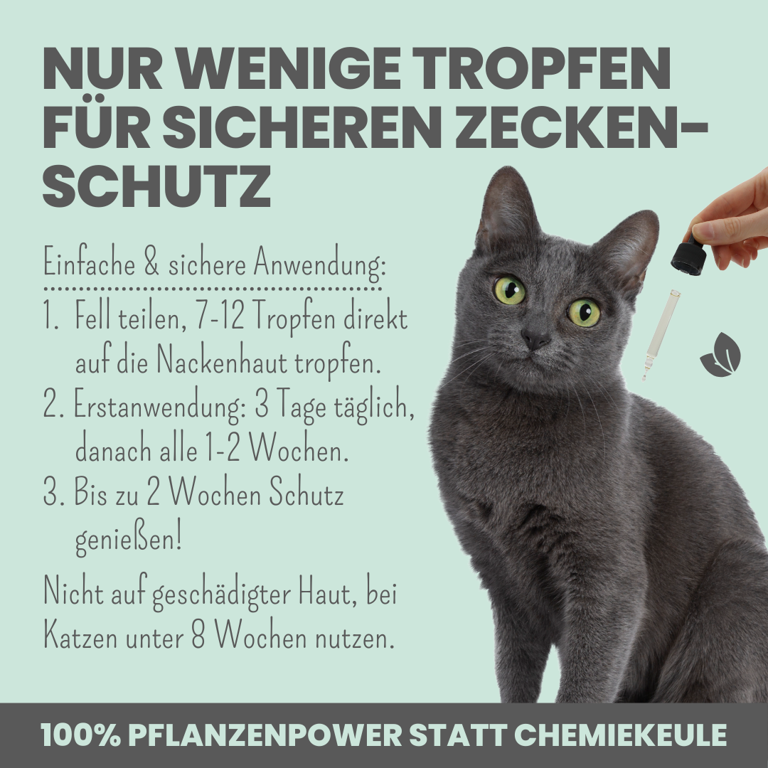 Noms+ - Zpot-on für Katzen