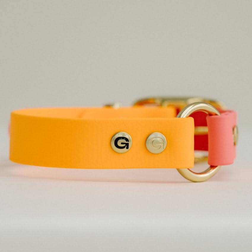 GULA - Klassisches Hundehalsband — Orange und Rosa (25 mm breit)