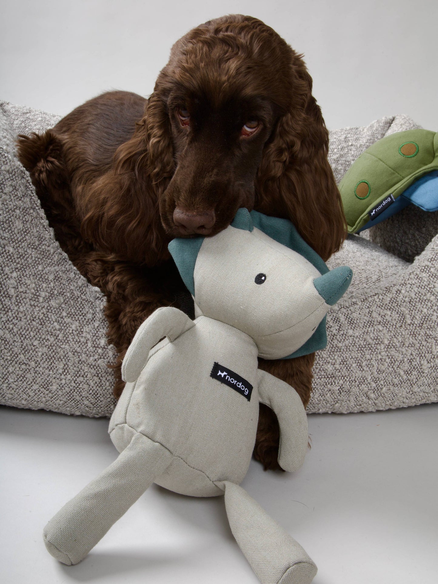 Nordog - Bente der Dino - Kuscheltier für Hunde