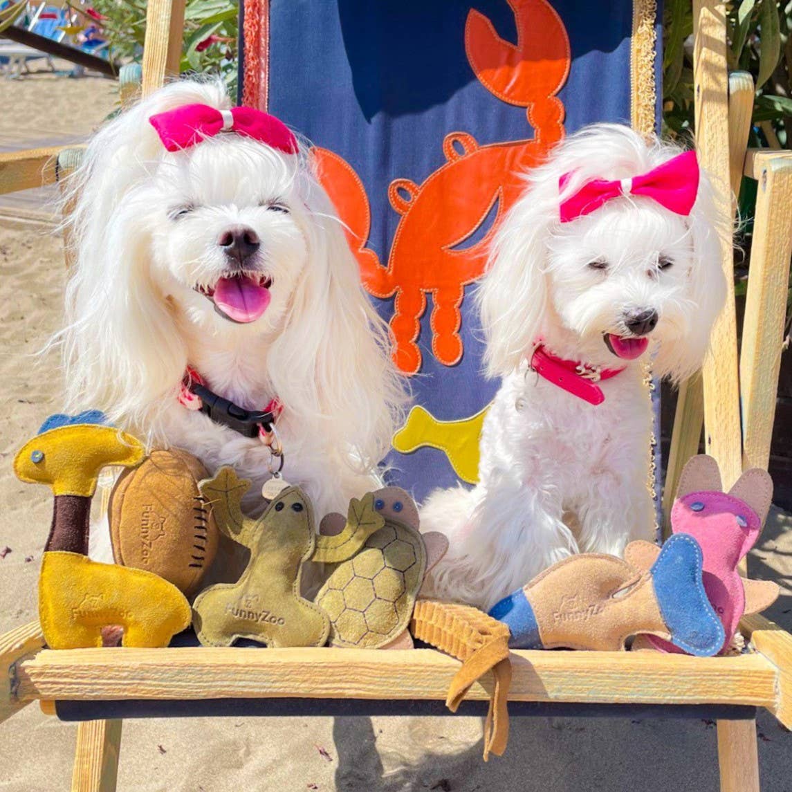 Funny Zoo - Natürliches Hundespielzeug - Frosch