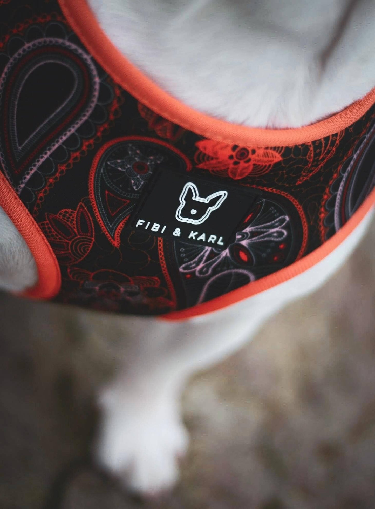 2-in-1 Hundegeschirr Infinity Dots