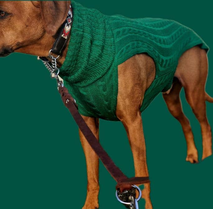 Kay-Line - Hundepullover SMARTY GRÜN 100 % Merinowolle