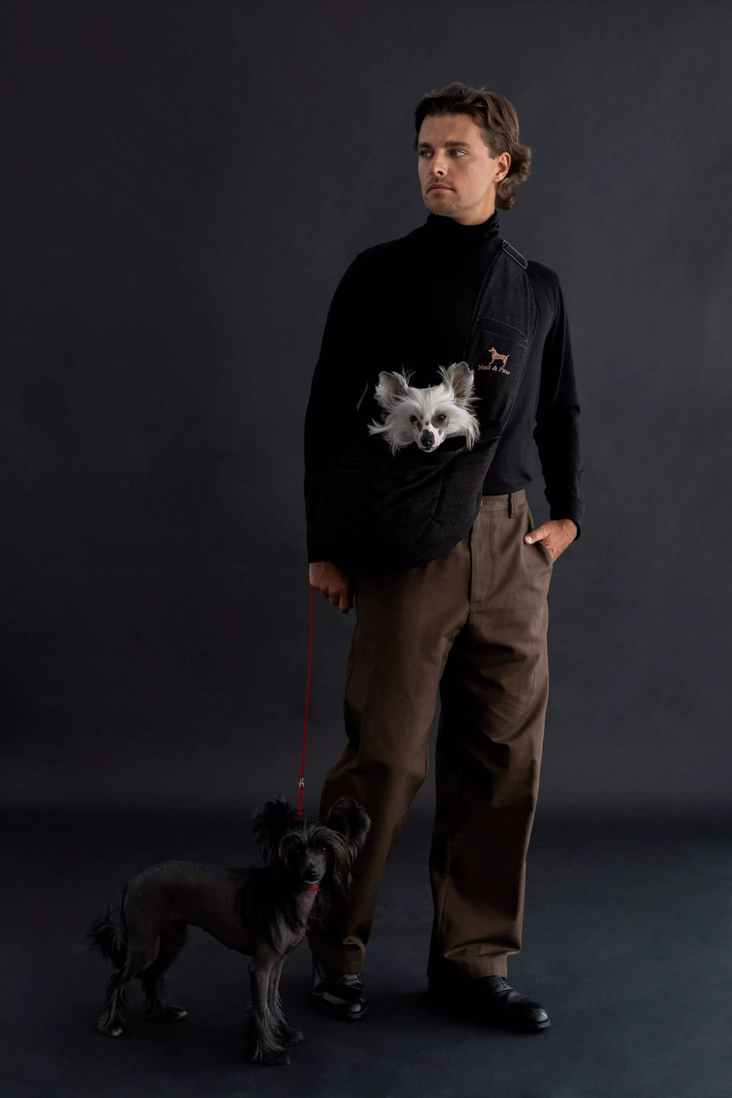 Noah & Paw - Premium Denim Haustier-Tragetasche mit 3-facher Sicherheit