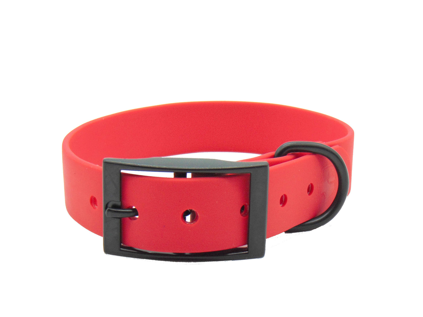 Schmuddelschnute - Hundehalsband "Schietwedda" Bordeaux